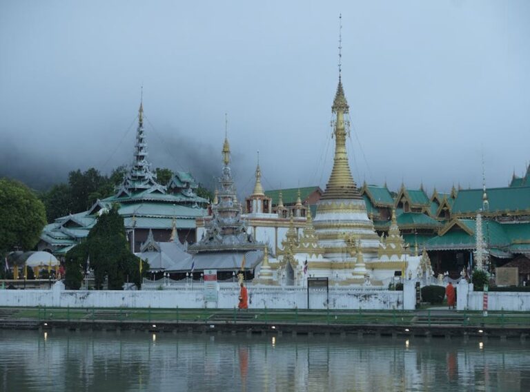 mae monteiro occhilupo