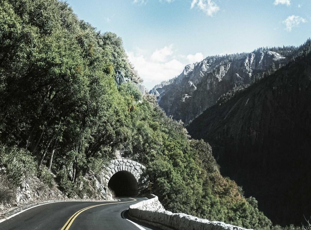 The Actor's Craft: A Deep Dive into His Performance Style