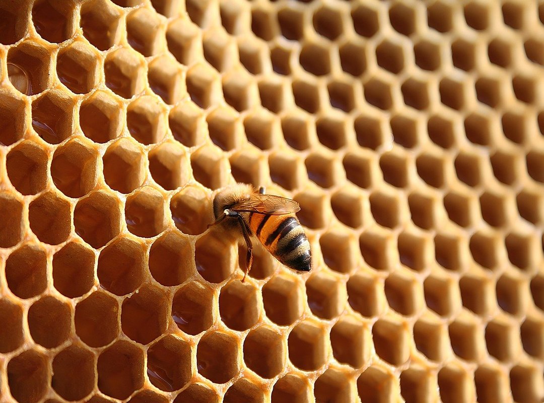 Bringing Your Drawings to Life with Simple Details