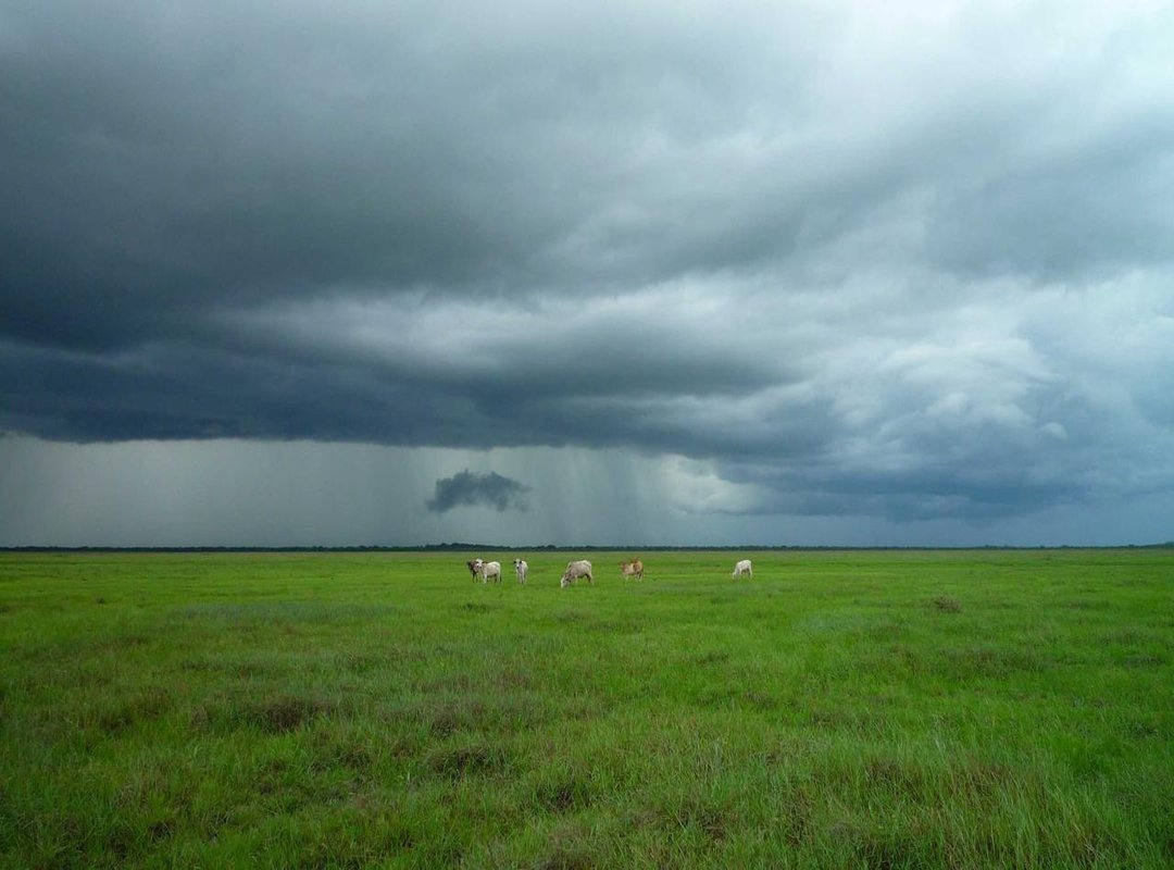 The Art of the Share: How to Deploy Your GIF for Maximum Laughs