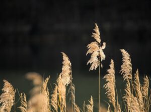 gym susanna reid instagram