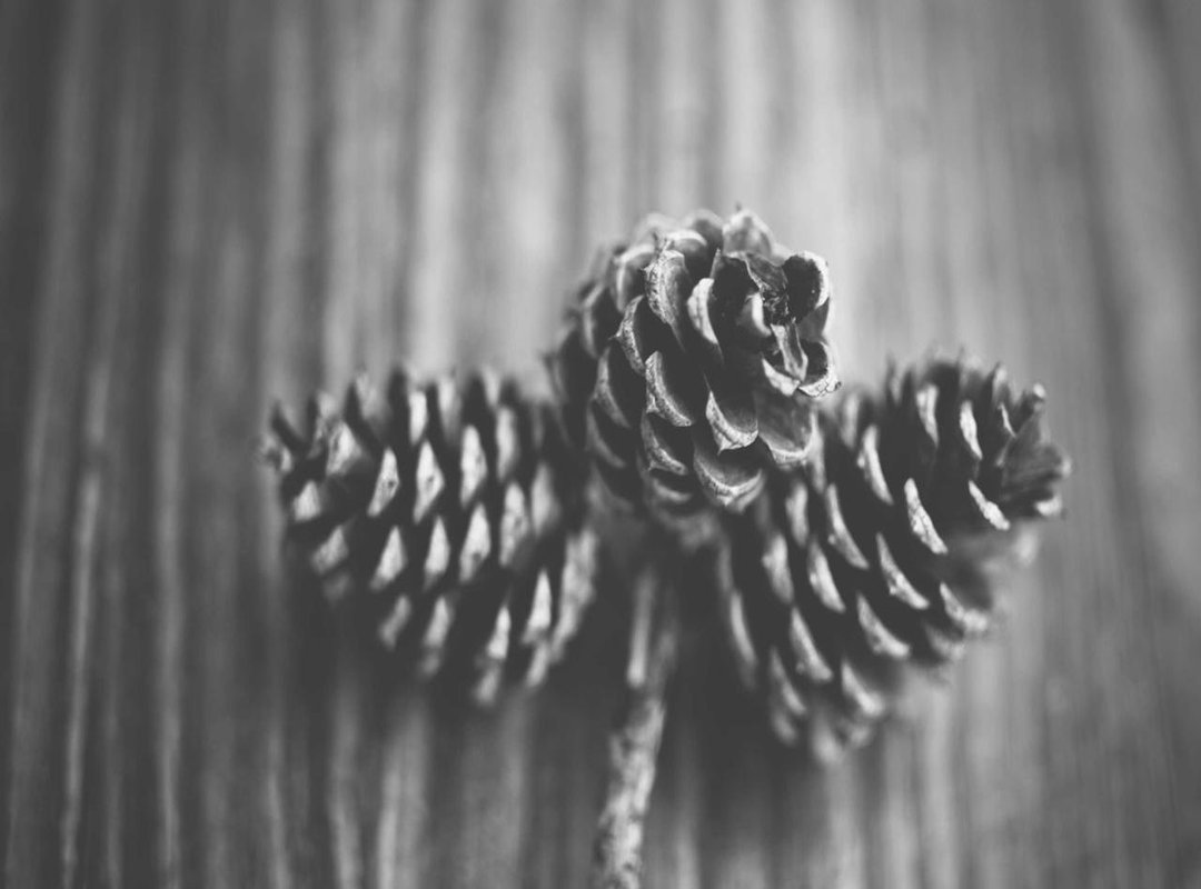 Actionable Strategies: Turning Cosmic Insight into Real-World Success