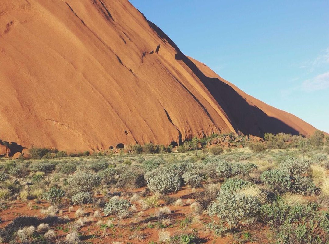 The Purpose of Her Stature: Symbolism in Character Design