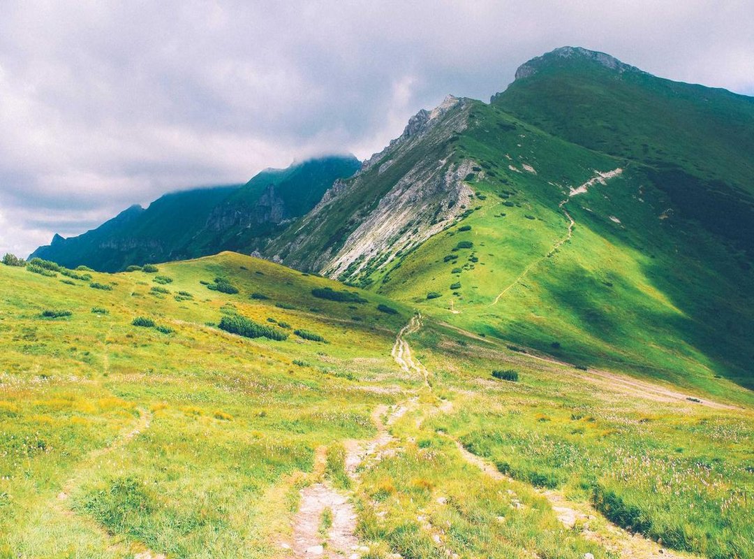 Chair vs. Table Massage: Choosing the Right Fit for Your Office Space