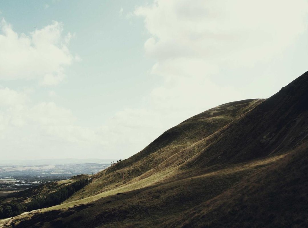 Adding the Details: Bringing Stitch to Life