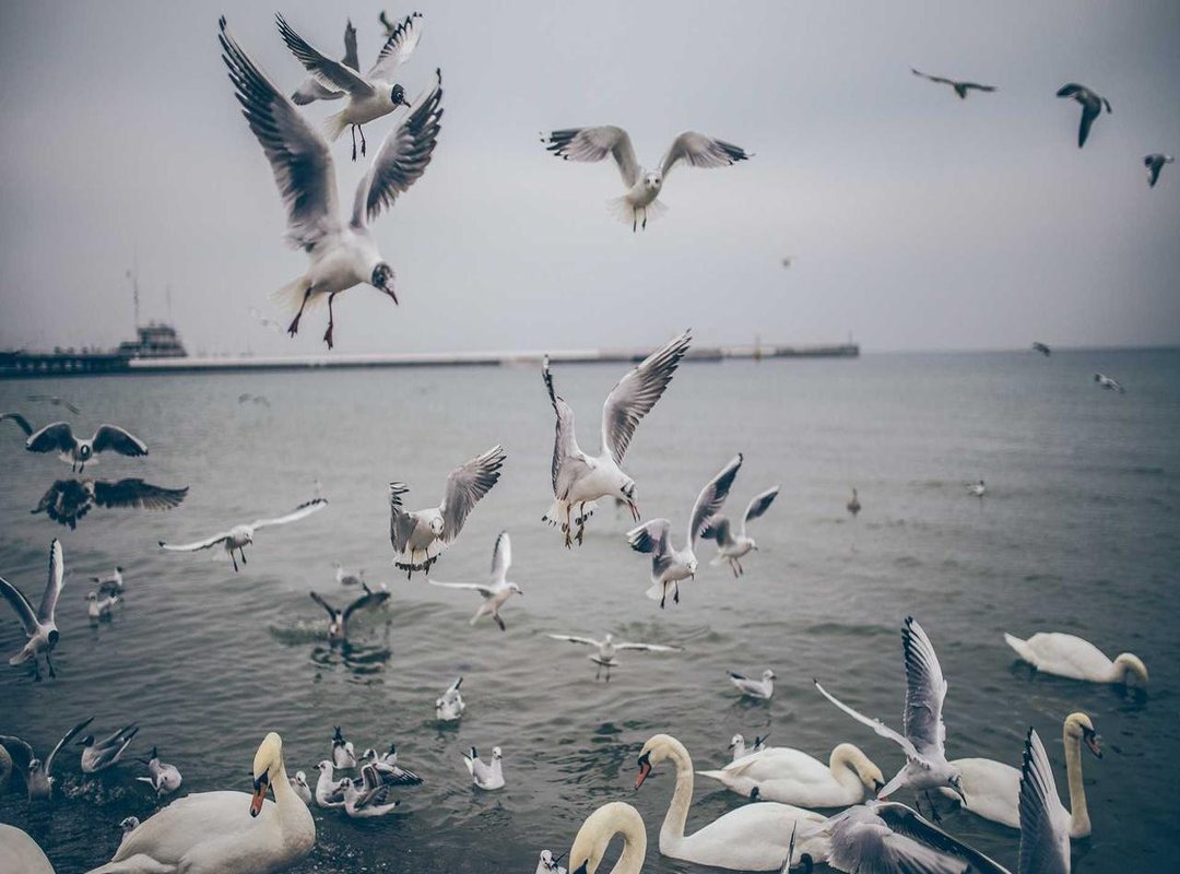 How to Use 'Pookie Bear' (and Other Terms of Endearment)